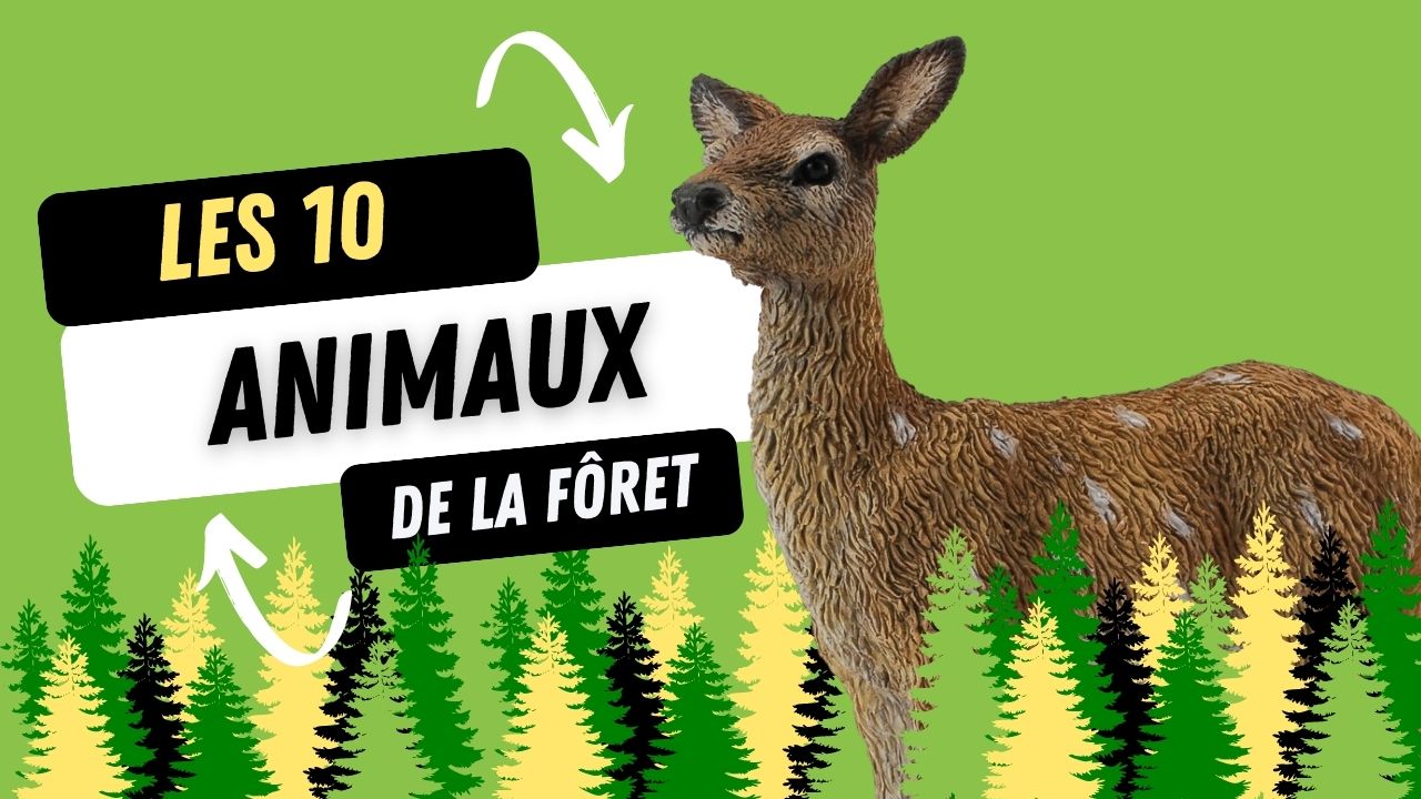 Les 10 animaux les plus fascinants de la forêt