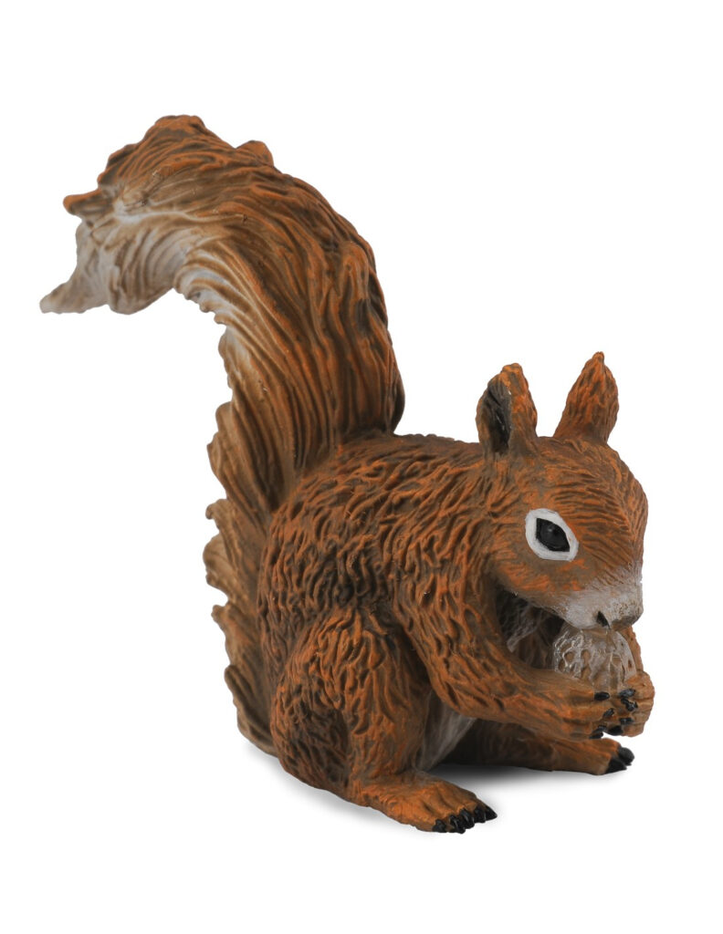 Les animaux de la foret écureuil figurine réaliste CollectA