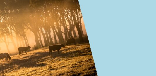 Les animaux de la ferme