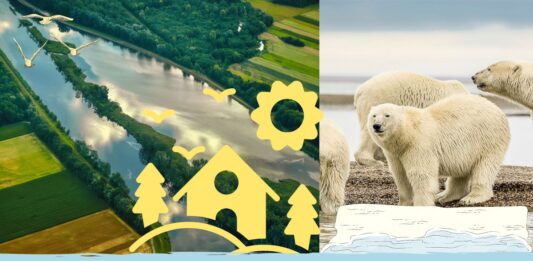 Les habitats et leur protection