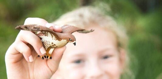 Les figurines sont des jouets très appréciés des enfants, qui stimulent leur imagination et leur créativité.