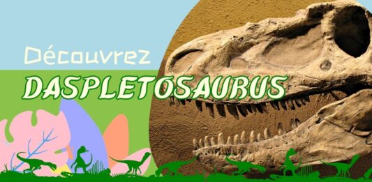 Une collection de figurines dinosaures de différentes espèces et couleurs, disposées sur une étagère en bois.