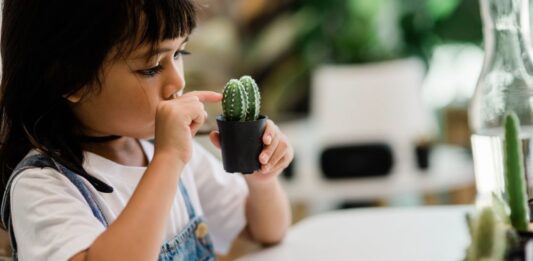 Les grands principes Montessori - Matériels pédagogiques