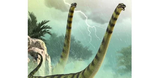 Daxiatitan modele par CollectA