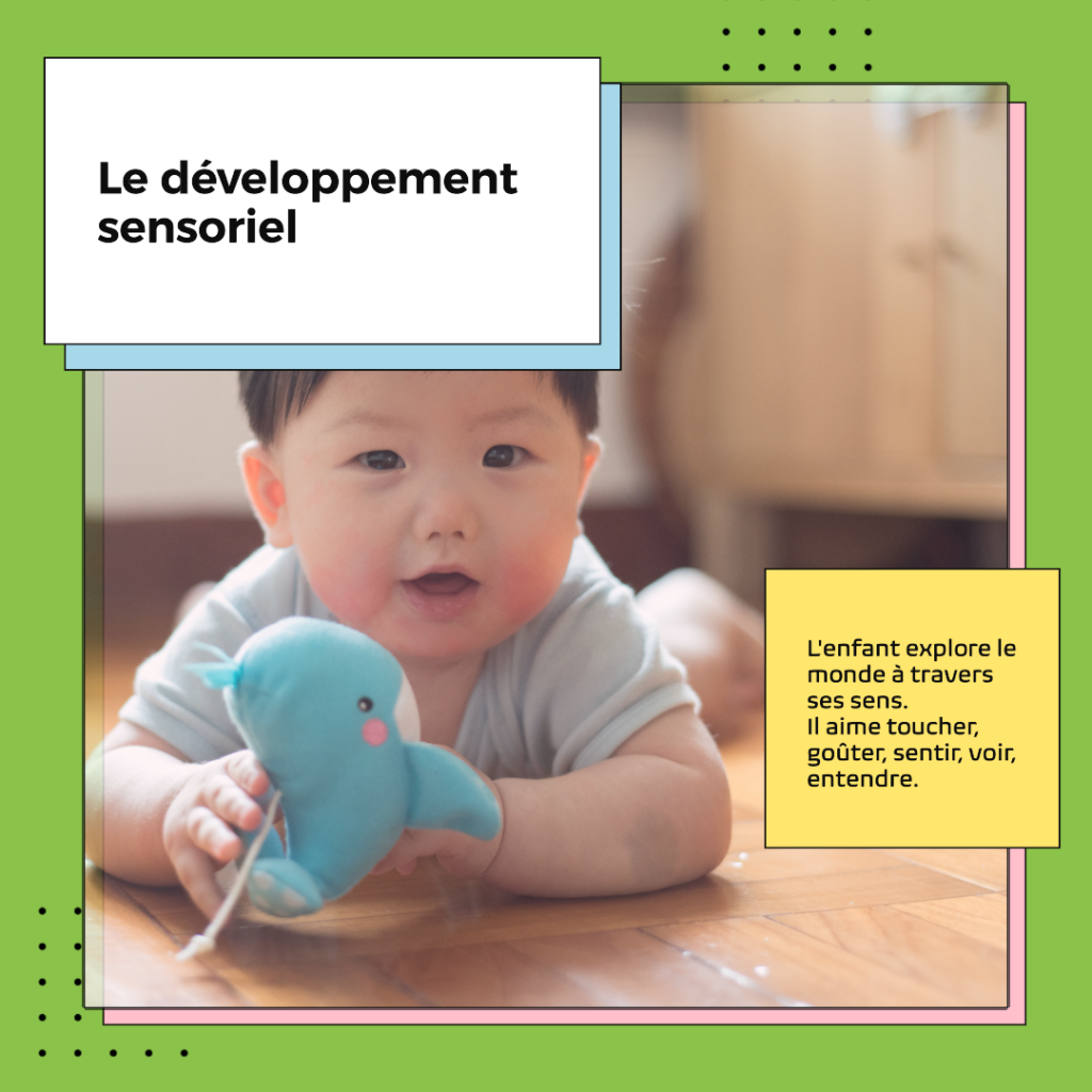  L'enfant a besoin d'un environnement organisé et ordonné. Il aime ranger, classer, ranger. Cette période se situe entre 1 et 6 ans.