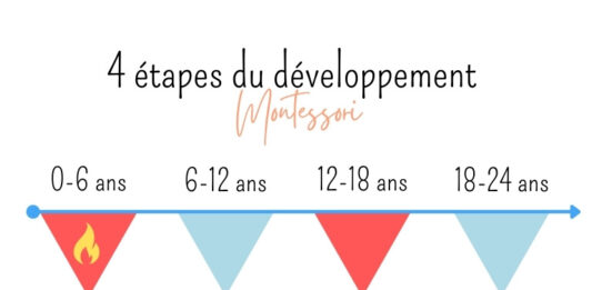 Schéma illustrant les quatre plans de développement de Maria Montessori : la petite enfance, l’enfance, l’adolescence et la maturité.