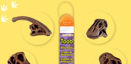 Figurine de crâne de carnotaurus peinte à la main