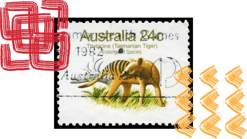 Animal thylacine espèce disparue marsupial