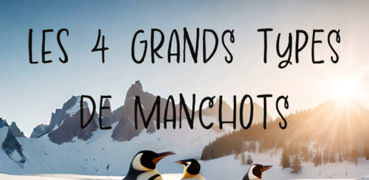 4 grands groupes de manchots
