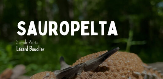 Sauropelta dinosaure jouet figurine réaliste ankylo