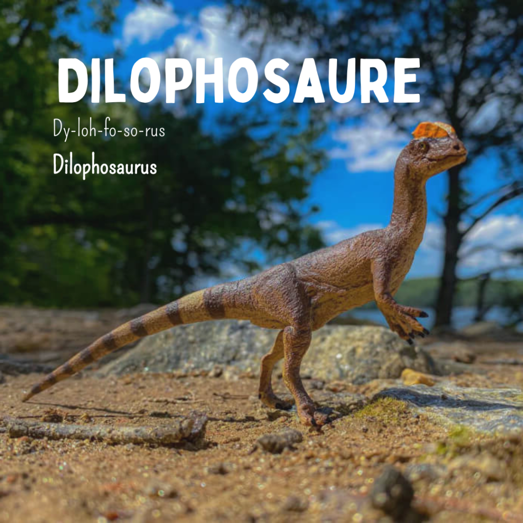 Lot De 12 Figurines Dinosaures Réalistes - Jouet éducatif En Plastique Pour Enfants, Jeux Montessori