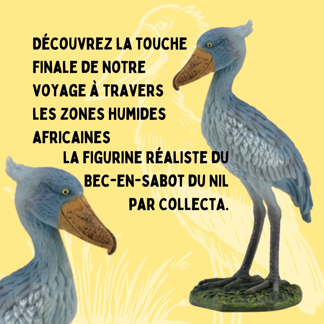 Bec en sabot du nil oiseau et sa fiche pedagogique et sa figurine