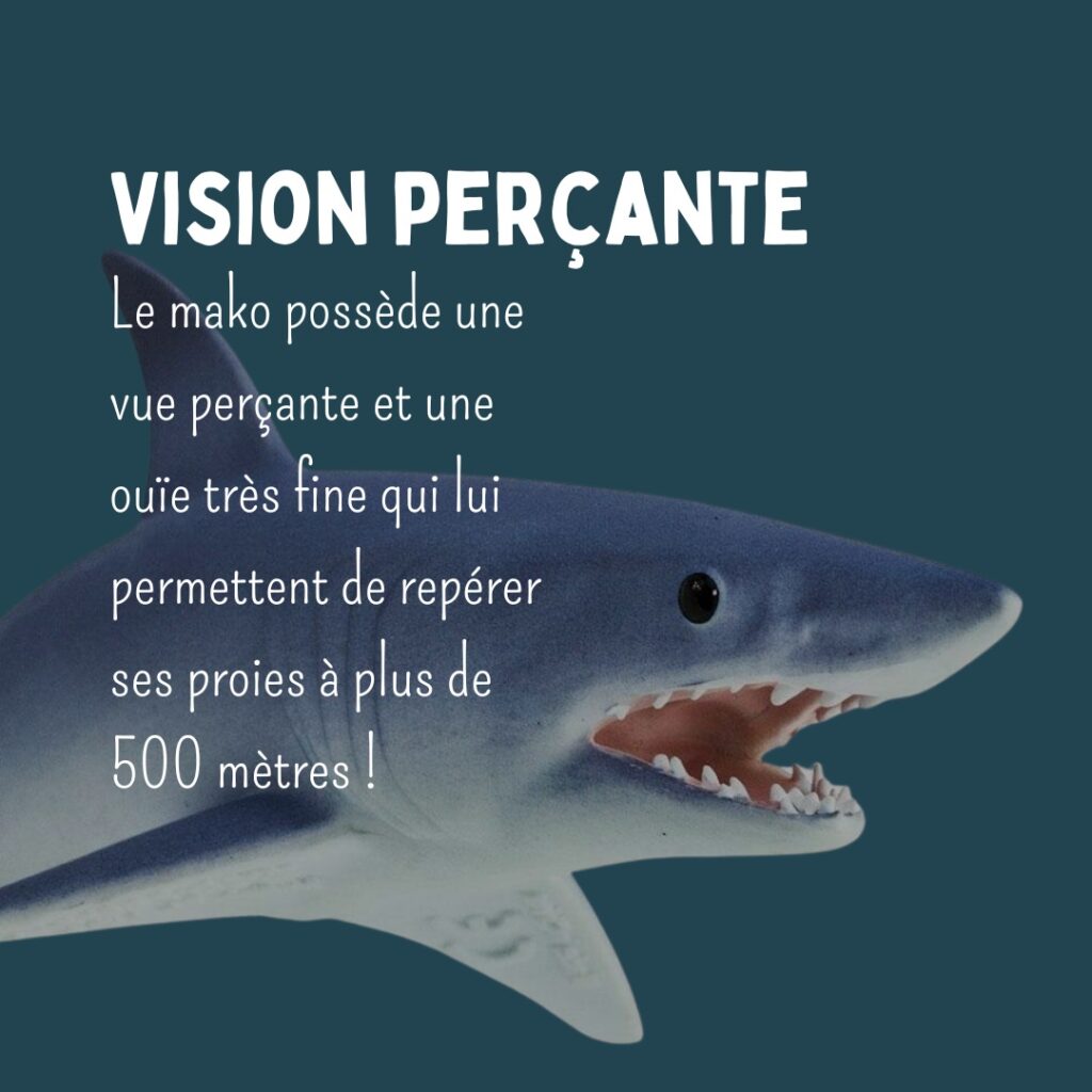 Figurine Collecta Requin Mako - Modèle Réaliste 13 X 7 Cm, Peint à La Main, Pour Collection Ou Jeu