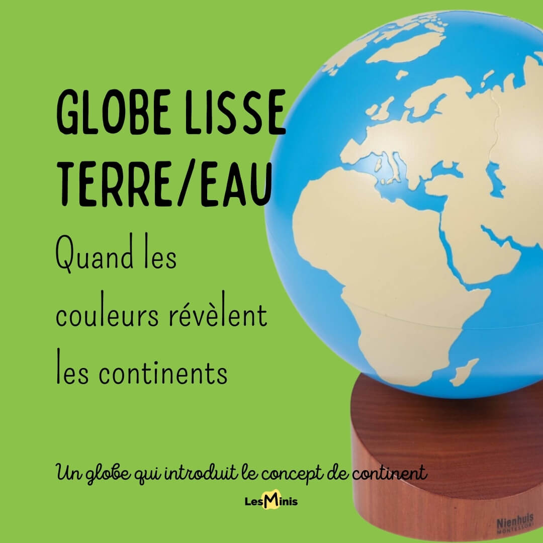 "Le Globe Terre/Eau peint Montessori illumine la géographie avec ses couleurs vives, facilitant la distinction entre les continents.