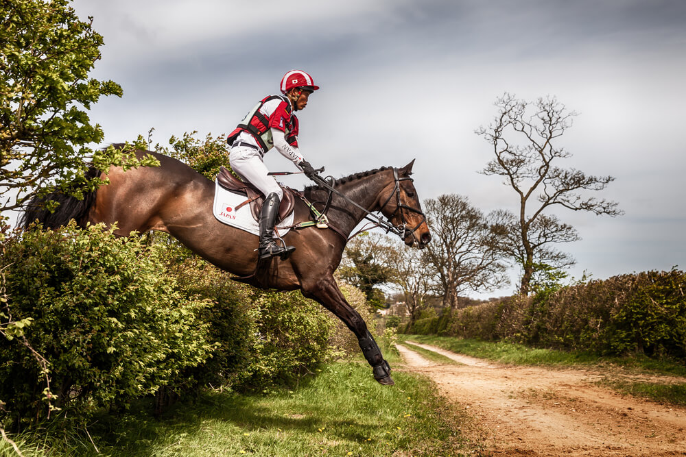 Entraînement intensif d'un couple cavalier-cheval pour le cross-country : saut d'obstacle en terrain varié