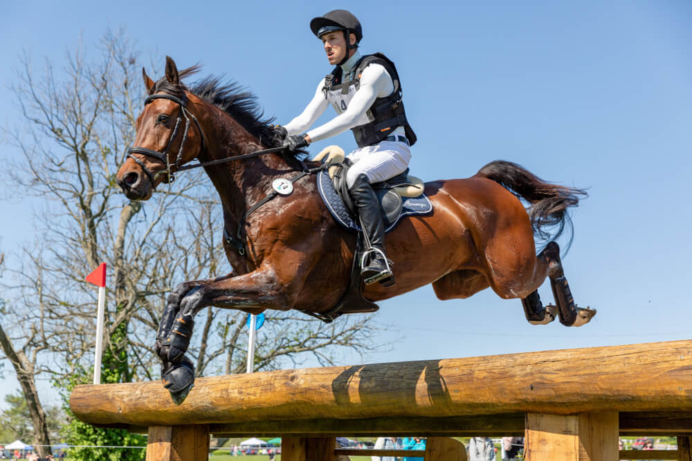 Parcours de cross-country équestre avec obstacles variés : troncs d'arbres, gués et banquettes dans un cadre naturel
