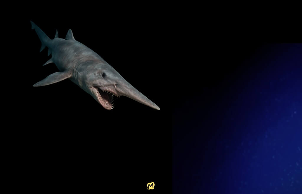 Écosystème des poissons des fonds marins menacé par les activités humaines