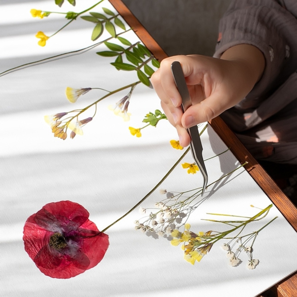 Herbier de fleurs séchées réalisé par un enfant