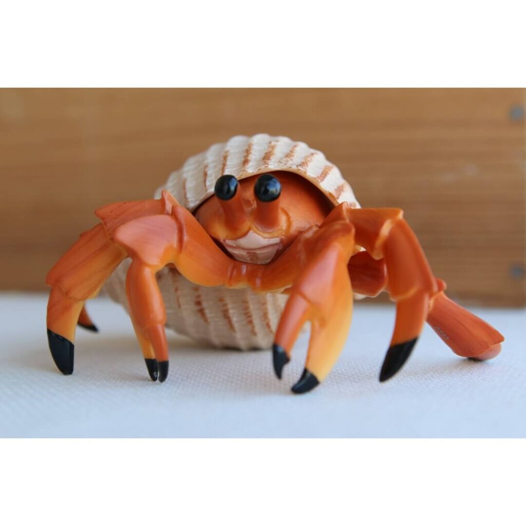 Bernard-hermite jouet ultra réaliste Safari figurine pagure coquille adoption protection mobile crustacé invertébré marin éducatif