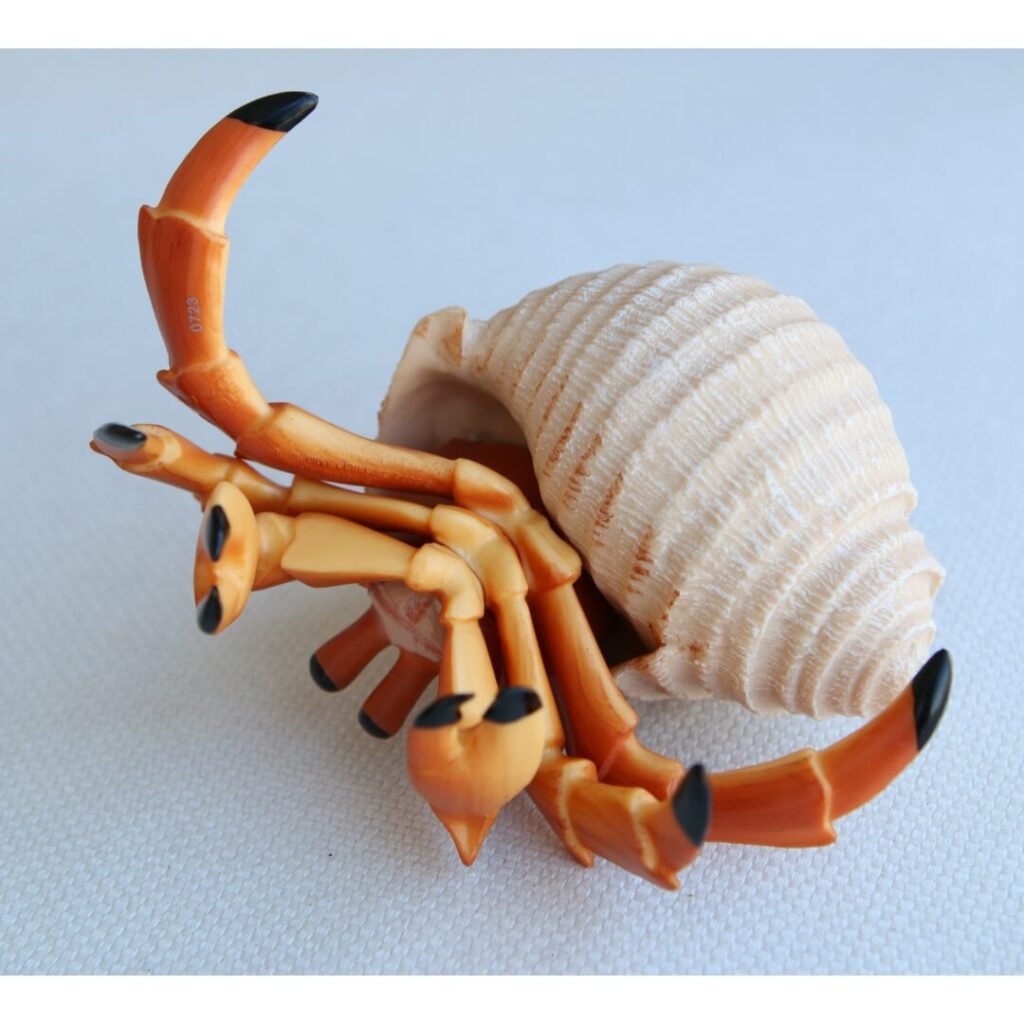 Jouet bernard-hermite réaliste Safari figurine crustacé nomade coquillage emprunté protection invertébré marin collection