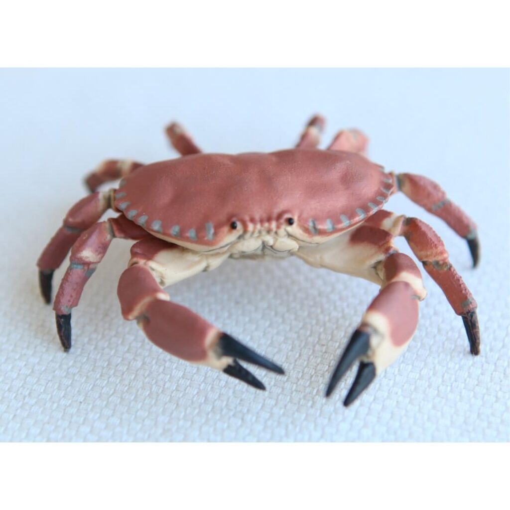 Crabe jouet ultra réaliste Papo figurine crustacé pinces mobiles carapace articulée marche latérale invertébré marin éducatif
