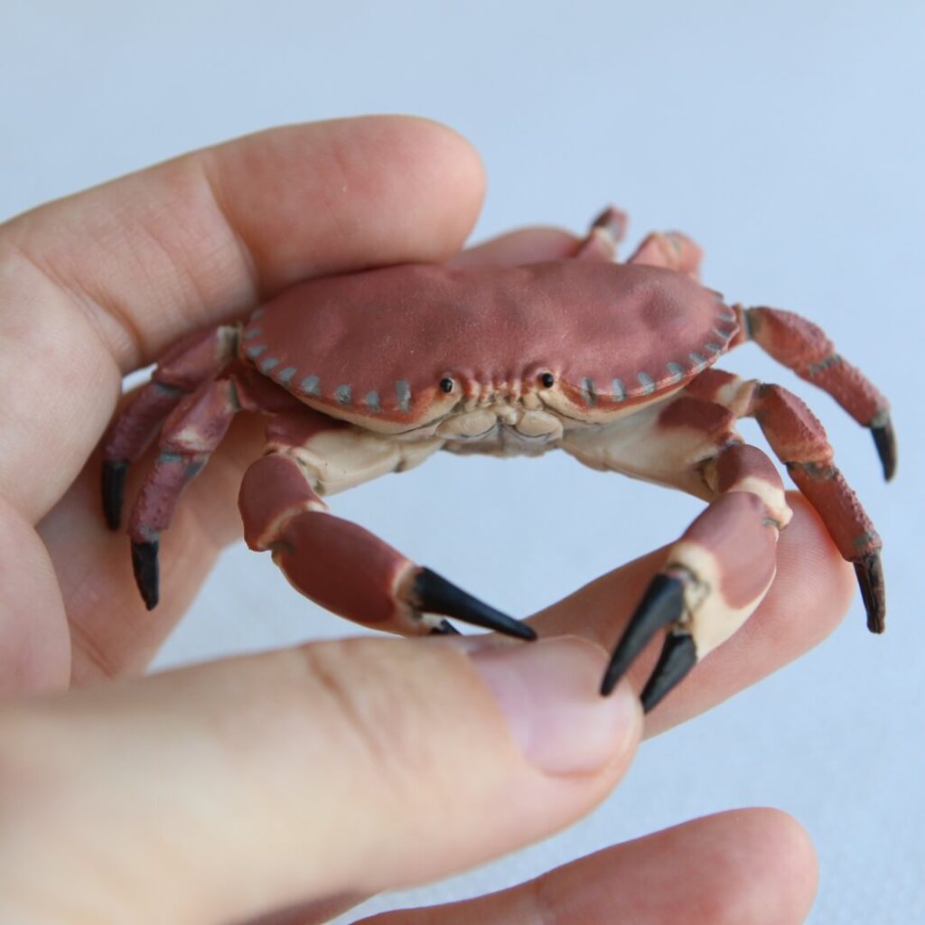 Figurine crabe Papo 56047 ultra réaliste jouet crustacé pinces articulées carapace détaillée animal marin invertébré littoral