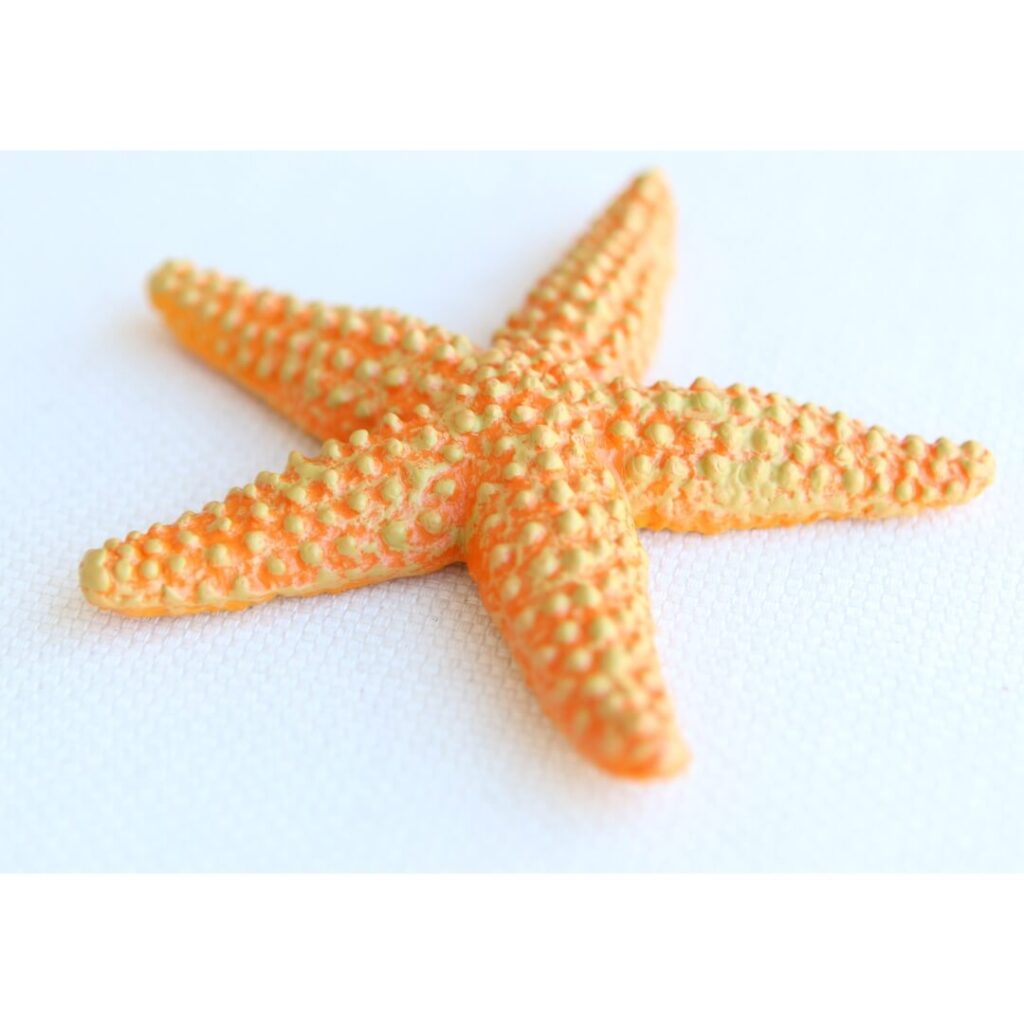 Étoile mer jouet ultra réaliste Safari figurine échinoderme bras régénérateurs texture détaillée invertébré marin éducatif