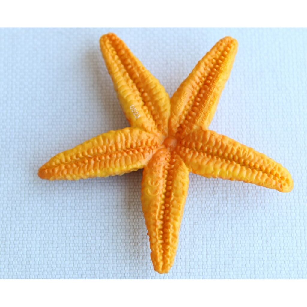 Jouet étoile mer réaliste Safari figurine échinoderme 5 bras flexibles régénération invertébré marin collection fonds océan