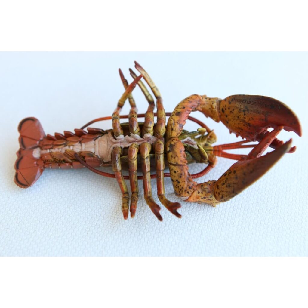 Jouet homard ultra réaliste CollectA figurine crustacé noble pinces broyeuse coupante invertébré marin collection océan