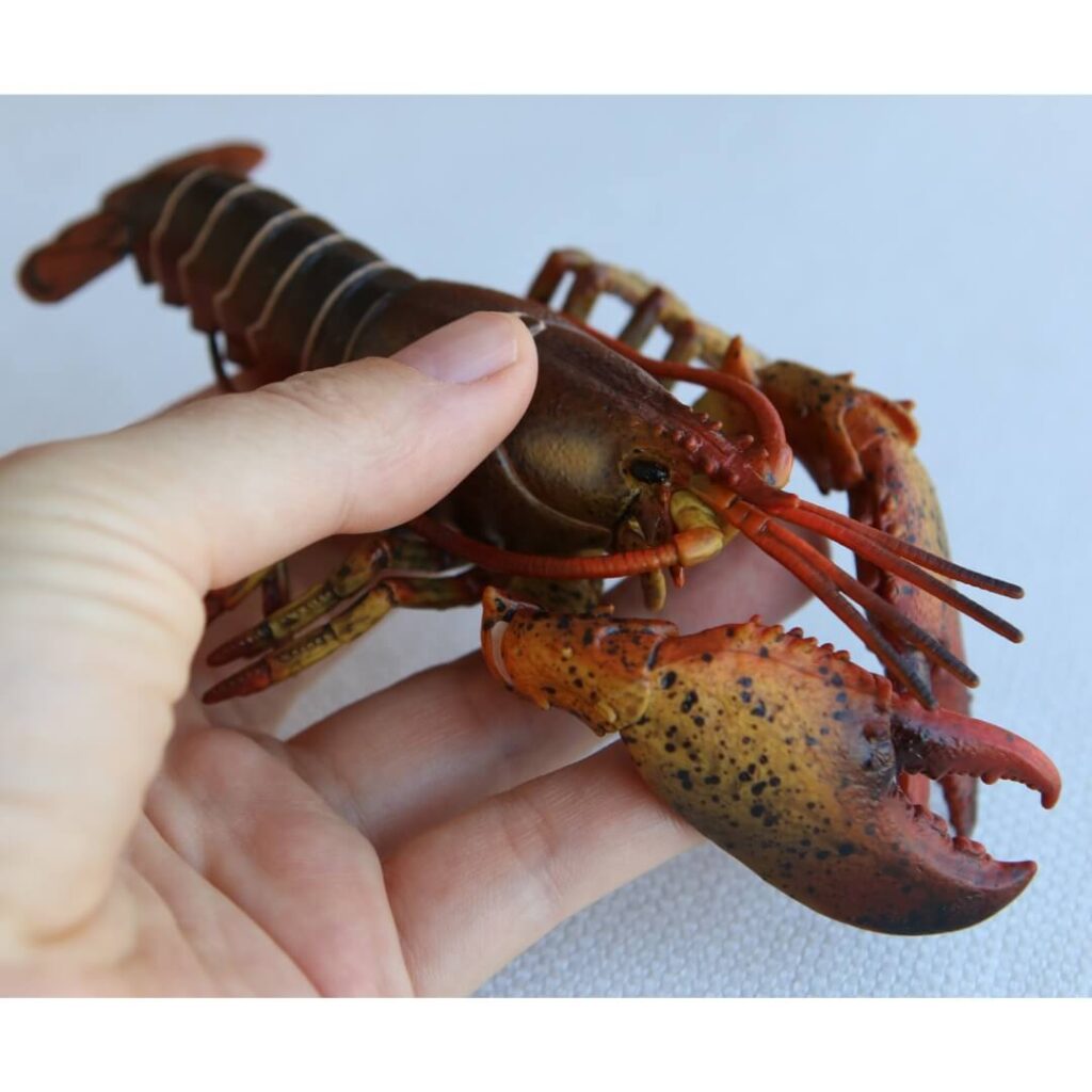 Figurine homard CollectA 88920 jouet ultra réaliste crustacé pinces asymétriques antennes longues invertébré marin bleu