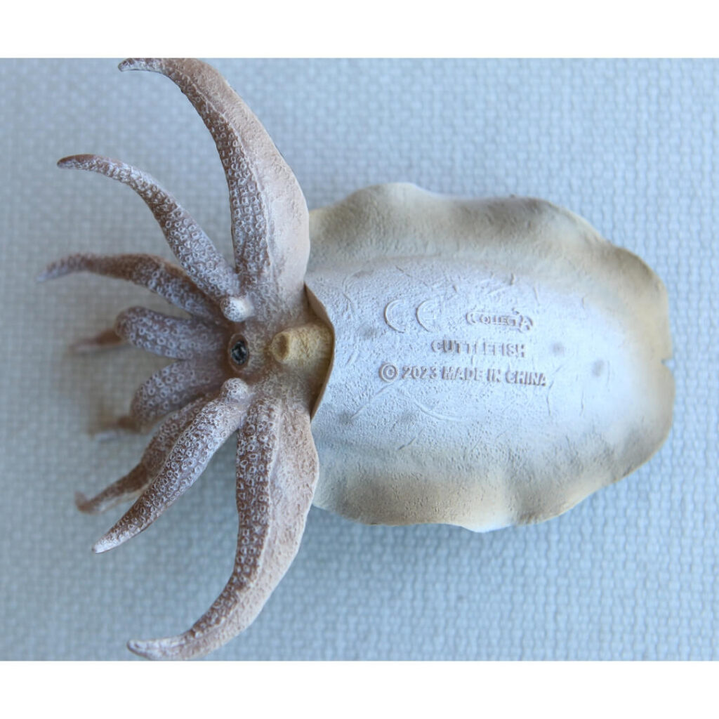 Jouet seiche réaliste CollectA figurine mollusque tentacules flexibles camouflage marin invertébré sans os collection fonds