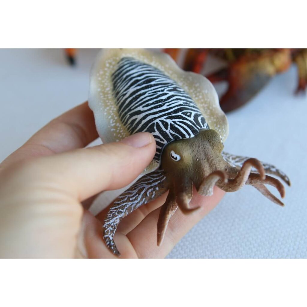 Figurine seiche CollectA 80009 ultra réaliste jouet céphalopode tentacules chromatophores camouflage invertébré marin intelligent