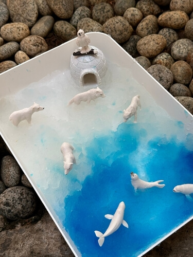 Mini-monde polaire en bac sensoriel : ours blancs, phoques et igloo – tri terre/mer et vocabulaire des milieux.