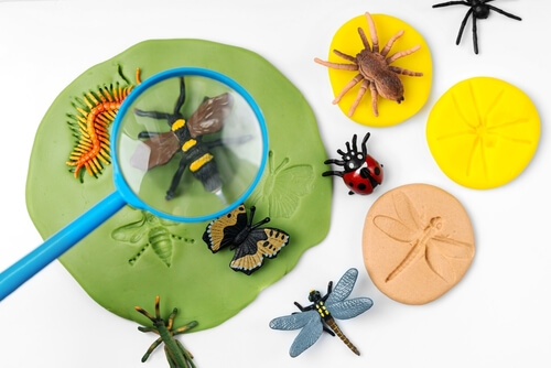 Observation d’insectes avec figurines et loupe : coccinelle, libellule, araignée – empreintes dans pâte à modeler.