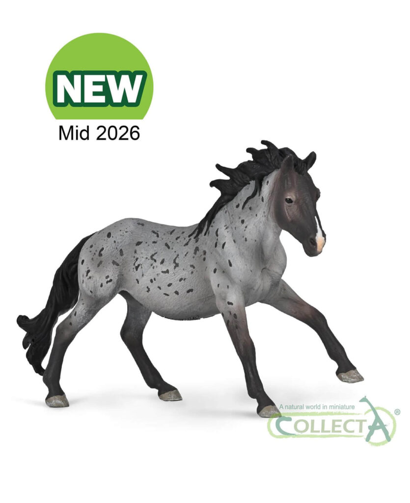Cheval Appaloosa Collecta 2026 - Figurine cheval tachetée mi-2026