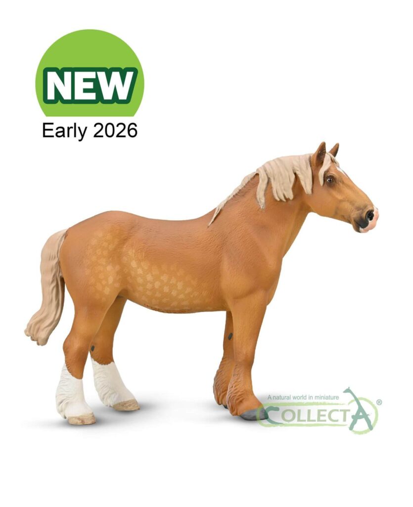 Jument Cheval de Trait Belge Alezan Collecta 2026 - Figurine cheval belgique crinière blonde muscular
