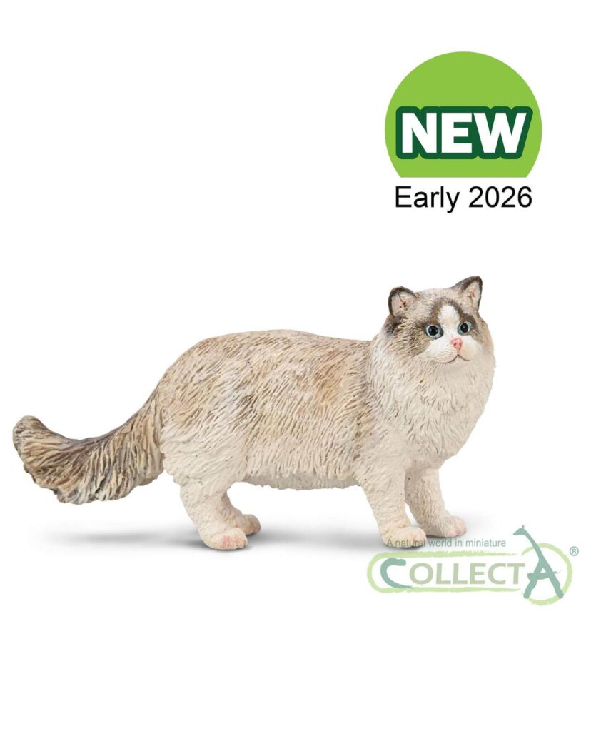 Chat Ragdoll Collecta 2026 - Figurine chat domestique yeux bleus