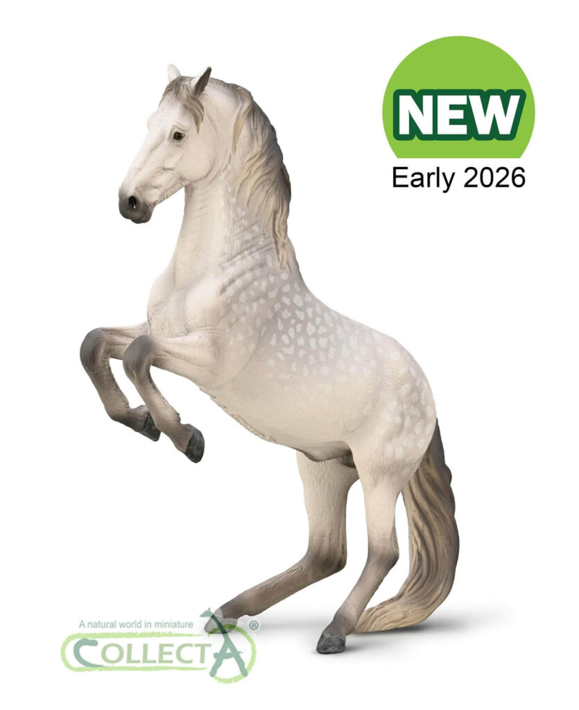 Lipizzaner gris pommelé Collecta 2026 - Figurine cheval Deluxe 1:40 race autrichienne École Vienne museum-quality prestige