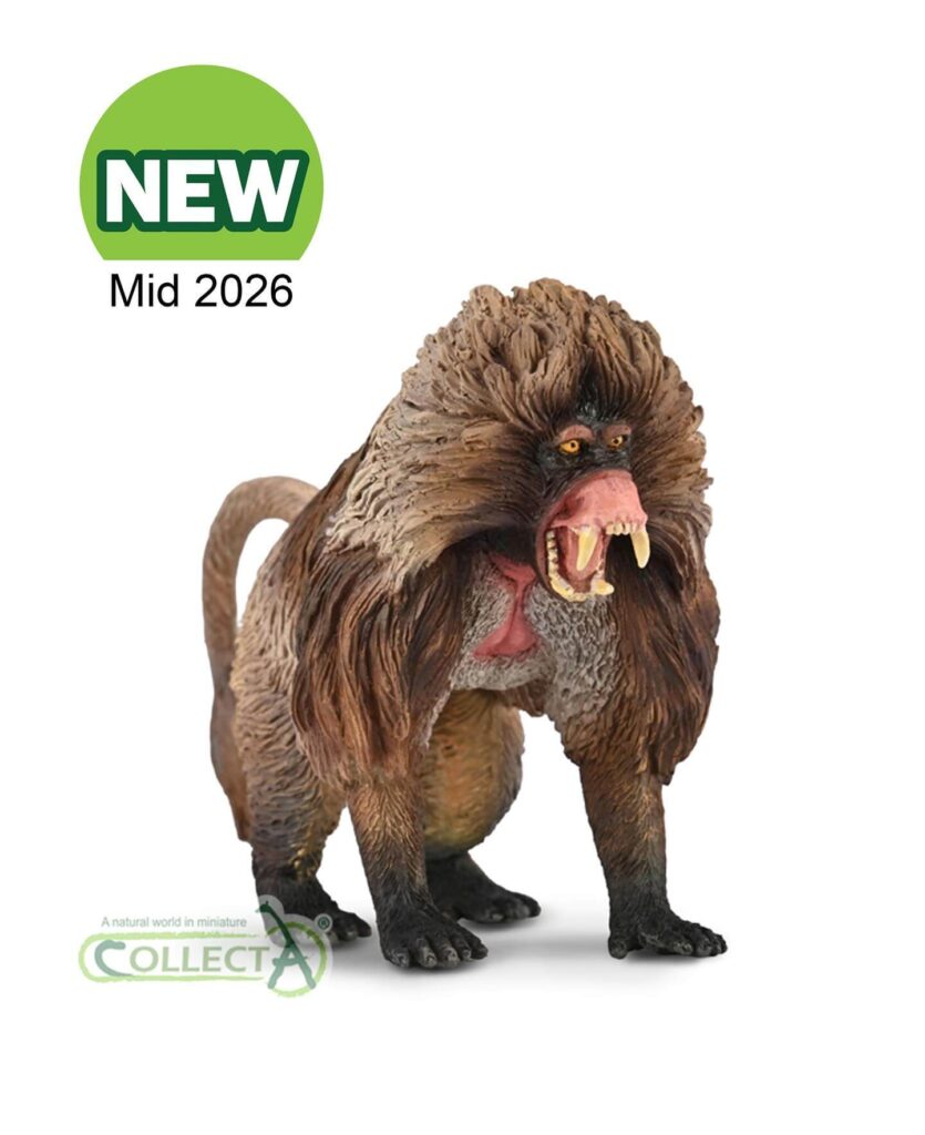 Gélada babouin Collecta 2026 - Figurine primate herbivore éthiopie poitrine rouge faune sauvage africaine museum-quality