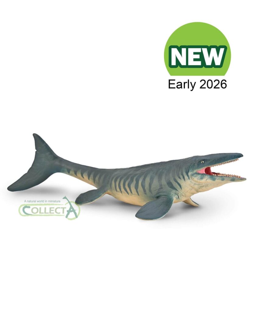 Ichthyosaure Collecta 2026 - Figurine reptile marin préhistorique museum-quality