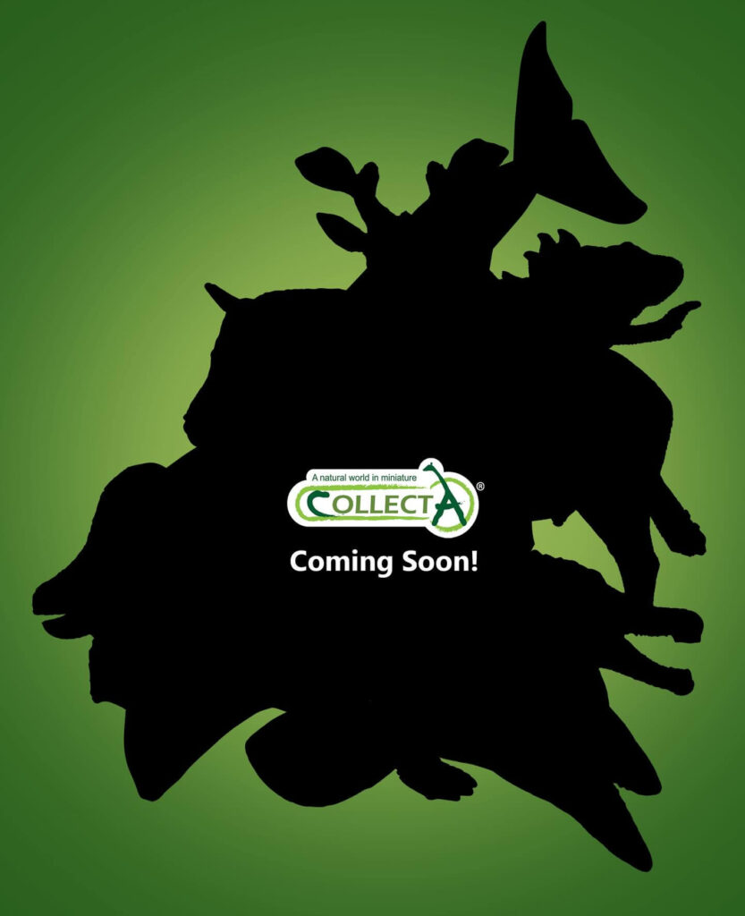 Teasers Collecta 2026 - Silhouettes mystérieuses animaux à venir