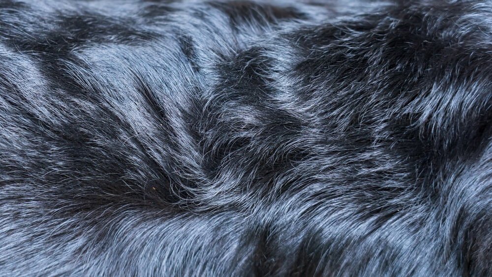 Fourrure animale