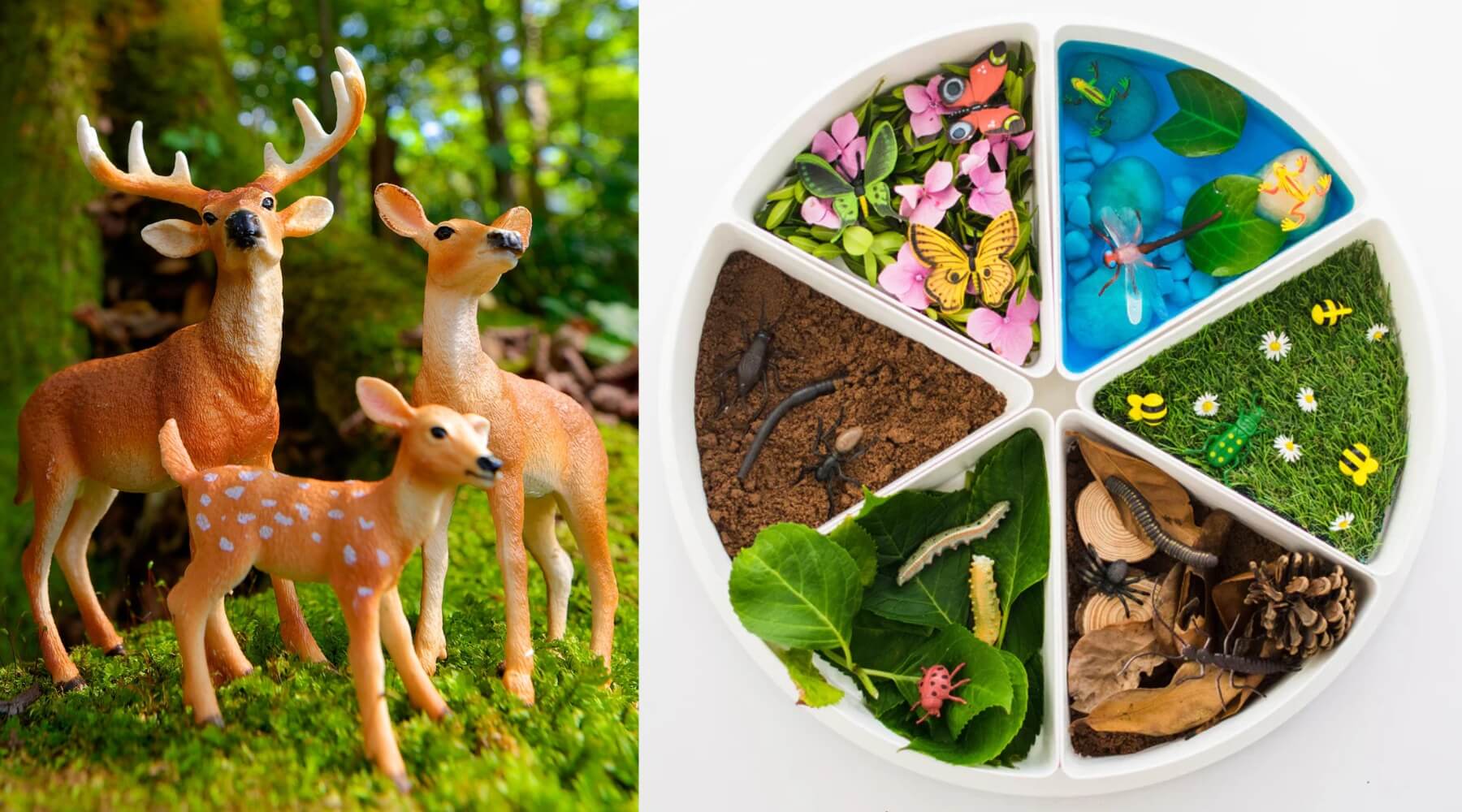 Figurines d'animaux et matériel Montessori LesMinis disposés sur un plan de travail en bois