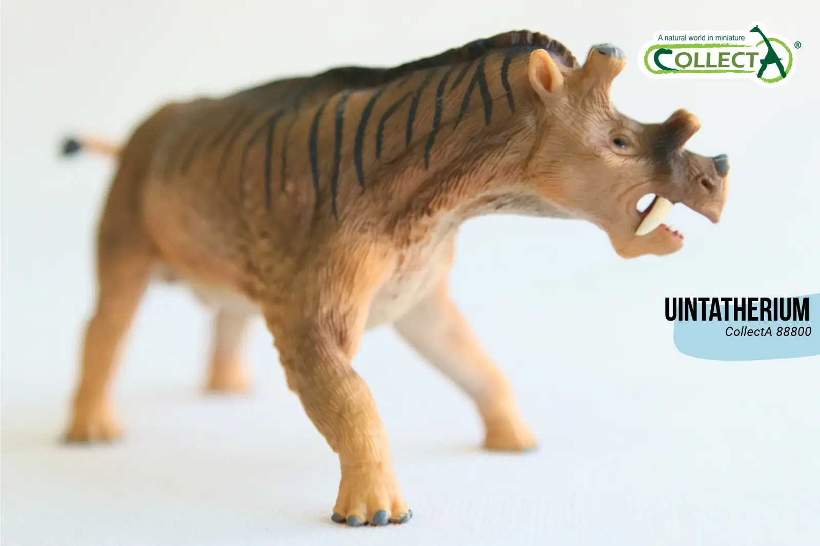 Figurine réaliste d'Uintatherium, mammifère préhistorique CollectA réf. 88800, de profil