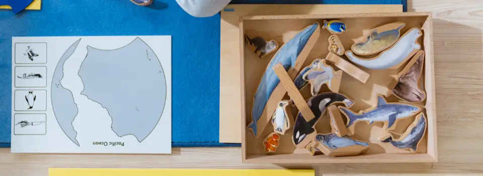 Plateau Montessori de nomenclature posé sur un tapis de classe : figurines d'animaux marins, orque, dauphin, requin, manchot et tortue, à côté de la carte de l'océan Pacifique